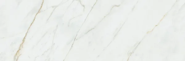 Gilded Calacatta — Arborite P1031-VL